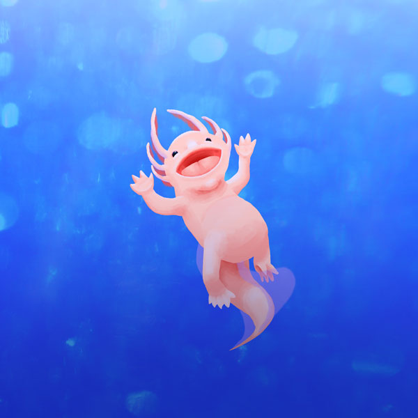 axolotl-web-copy